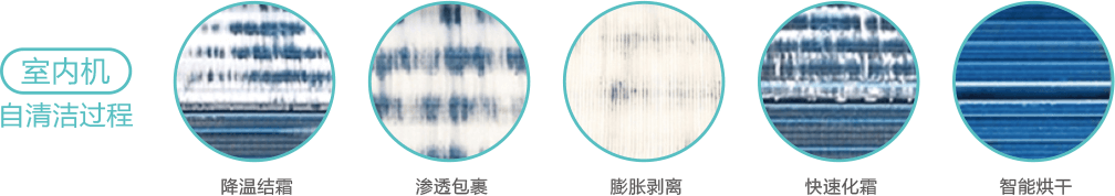 q_s_pic4.png